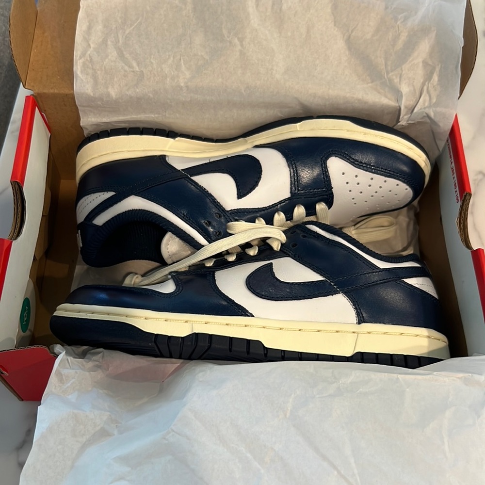 BRAND NEW Nike low dunks